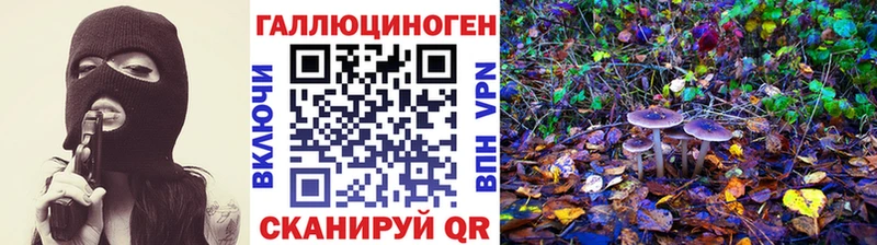 Псилоцибиновые грибы GOLDEN TEACHER  Егорьевск 
