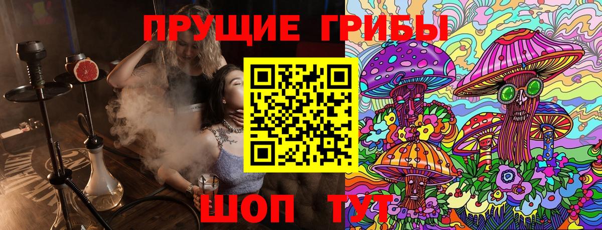 Галлюциногенные грибы Psilocybine cubensis Егорьевск