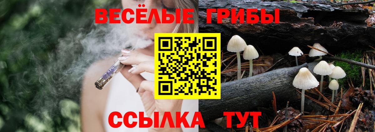 Псилоцибиновые грибы MAGIC MUSHROOMS  Вход с VPN  Егорьевск 